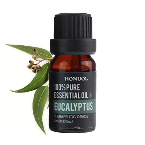 Huile essentielle eucalyptus