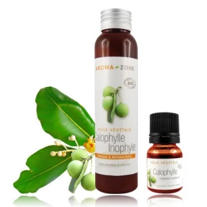 Macérât huileux Calophylle Inophyle BIO 100ml - Aroma Zone
